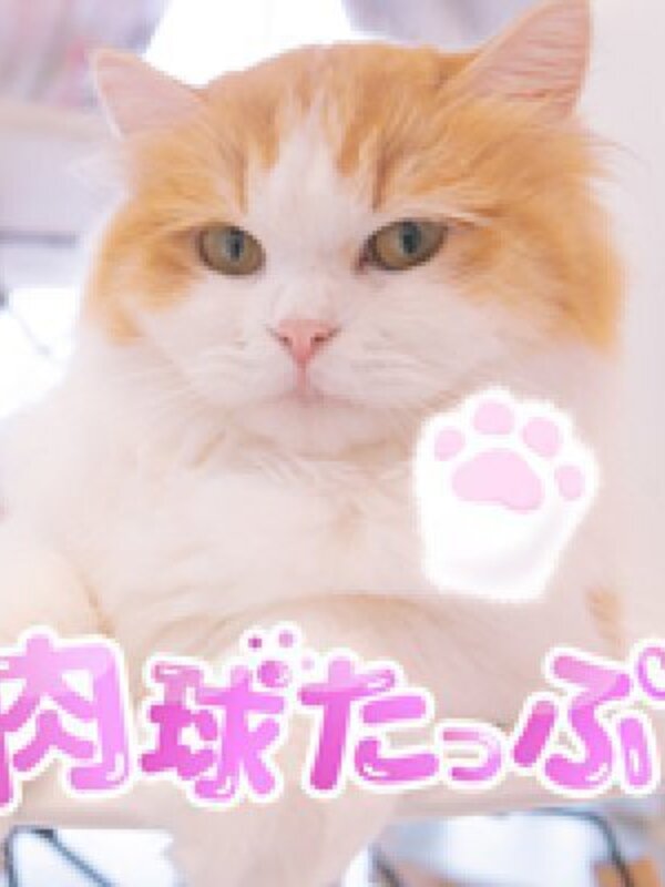 肉球たっぷ ねねにゃん