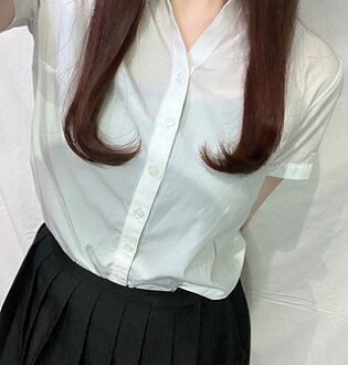 NAVIAN (ナビアン) モガミ