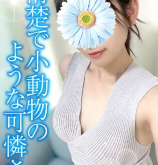 TAMANEGI (タマネギ) みか