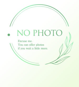 Secret Garden (シークレットガーデン) ここ