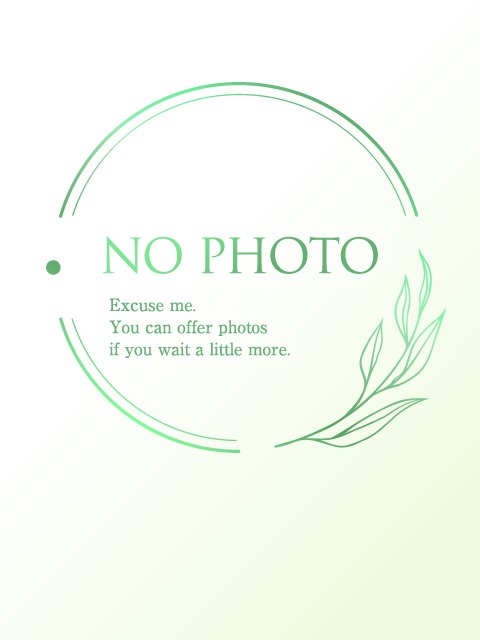 Secret Garden (シークレットガーデン) ここ