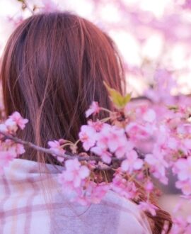 堺筋本町倶楽部 SAKURA