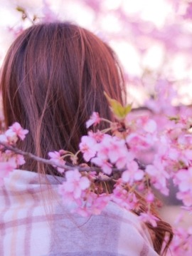 堺筋本町倶楽部 SAKURA