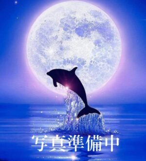 ドルフィン ふう