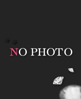 YOLUSPA 堺東店 (ヨルスパ) 華咲サクラ