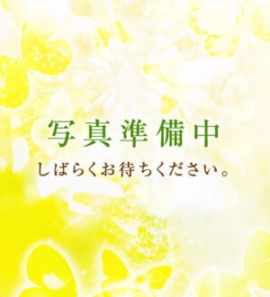 シークレットルームヒマワリ 浜辺わかな